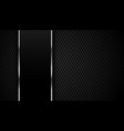 carbon fiber texture with metallic lines vector image vector image