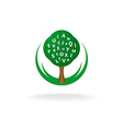 foreign language school logo vector image vector image