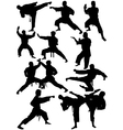 karate silhouettes vector image