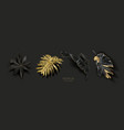 set with gold black tropical leaves vector image