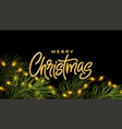 christmas background with realistic branches vector image