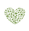 heart symbol in green leaves eco bio vector image