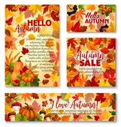 Autumn season sale tag and promotion label set Vector Image