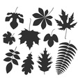 leaf silhouette vector image