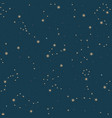 seamless pattern zodiac constellations vector image