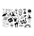 halloween icons set hand drawn elements for witch vector image