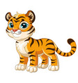 Cute lying tiger cartoon character Royalty Free Vector Image