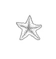 starfish sketch drawing icon summer themed vector image