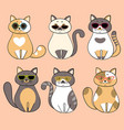 trendy serious cats with sunglasses vector image