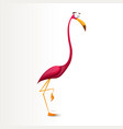 funny crazy cartoon flamingo characters vector image