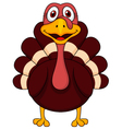 turkey cartoon vector image