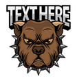 bulldog head logo vector image
