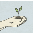 hands with plant vector image vector image