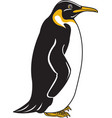 penguin logo mascot vector image