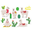 set cute llamas in different poses desert vector image vector image