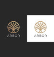 abstract plant line icon vector image
