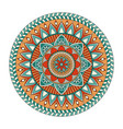 color floral mandala vector image