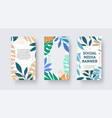 social media banner with monstera leaves palms vector image vector image