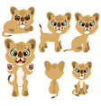 ginger kitty in different poses animal vector image