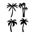 palm trees black silhouettes set vector image vector image