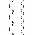 prints of feet and dog vector image vector image