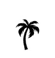palms tree icons vector image vector image