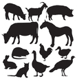 farm animals vector image vector image