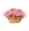 colorful flowers in a basket vector image