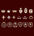crown set vector image