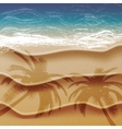 beach and tropical sea vector image vector image