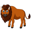 cute bison cartoon isolated on white background vector image vector image