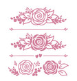 rose flower border pattern and design elements vector image