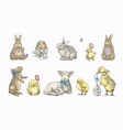 hand drawn cute easter animals vector image