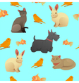 seamless pattern with home pets vector image vector image