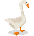 goose farm bird cartoon vector image vector image