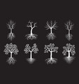trees with leaves and roots outline vector image vector image