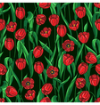 tulip pattern on black vector image