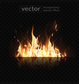 burning fire and its glowing reflection vector image vector image
