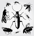 insect vector image