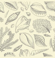 seamless pattern shells seaweed and mollusca vector image vector image