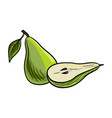 drawing yellow pear at white background vector image vector image