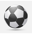 soccer football ball vector image vector image