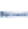 winter vector image vector image