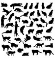cats silhouette set kitten in different pose vector image