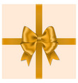 gold bow with ribbon and box isolated on white bac vector image
