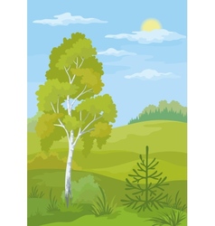 Landscape summer forest Royalty Free Vector Image