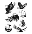 monochrome set of eagles vector image