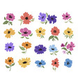 a set of abstract flowers with leaves vector image