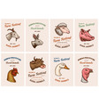 farm animals cards head of a domestic pig goat vector image