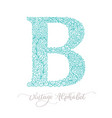 hand drawn b letter calligraphy vintage logo vector image